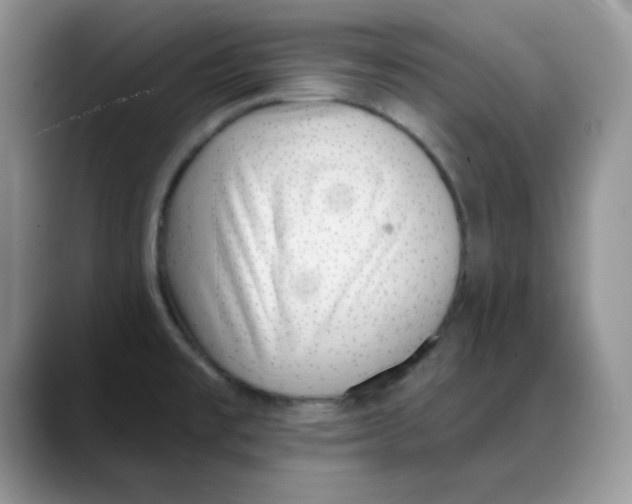 X0000088041477200706081559