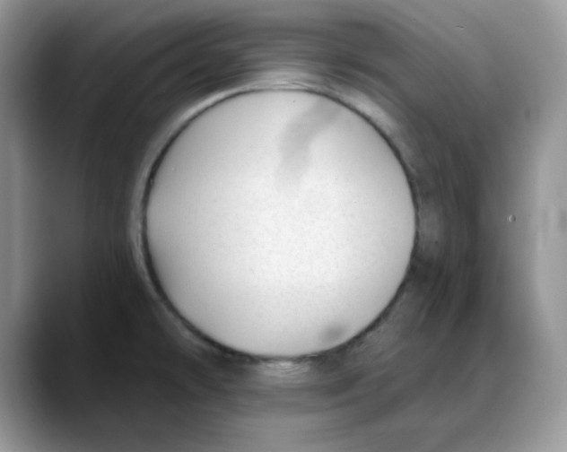 X0000088041478200706081559