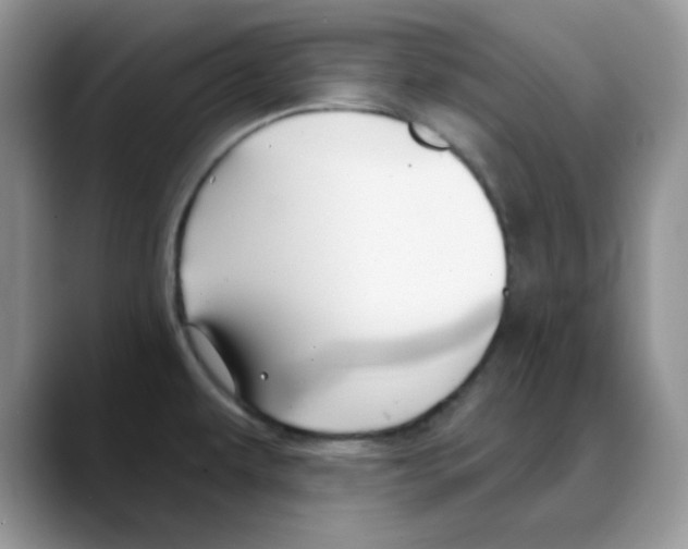 X0000088041479200706081559