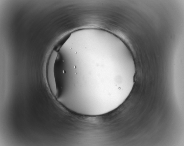 X0000088041480200706081559