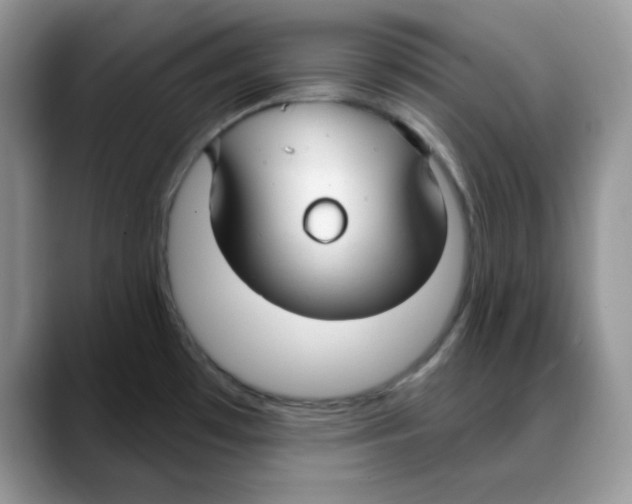 X0000088041481200706081559