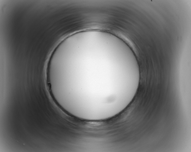 X0000088041483200706081559