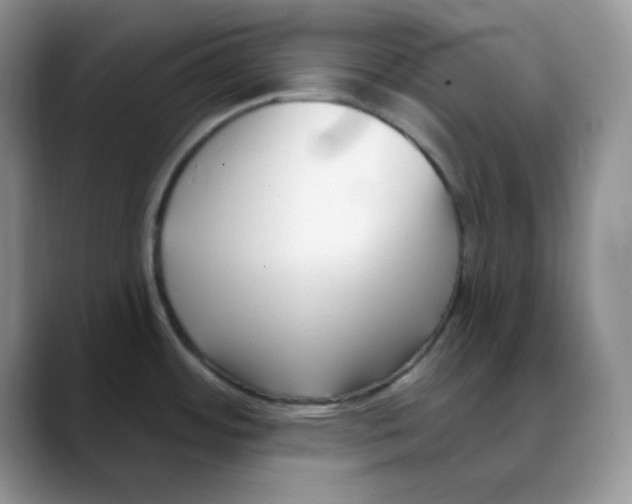 X0000088041484200706081559