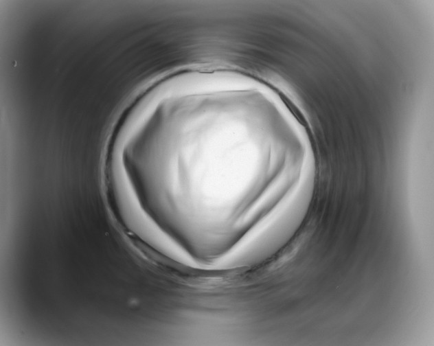 X0000088041485200706081559