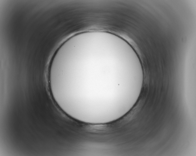 X0000088041486200706081559