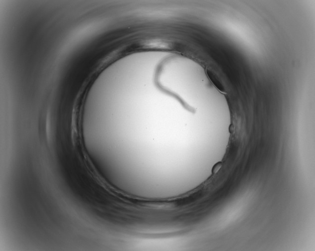 X0000088041487200706081559