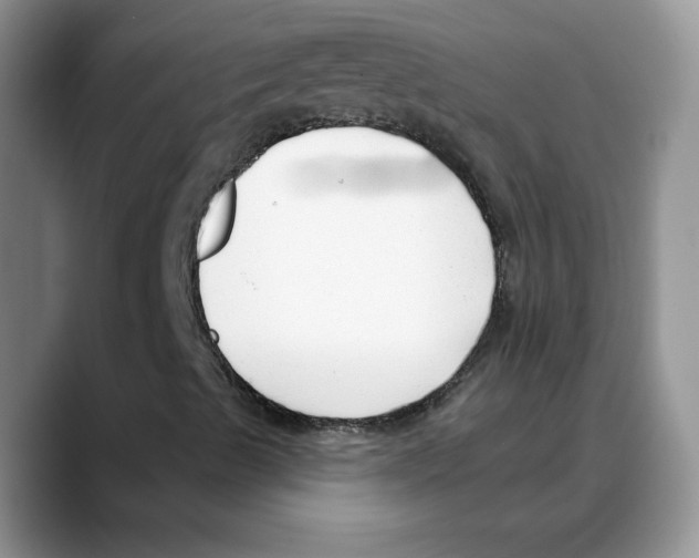 X0000088041489200706081558