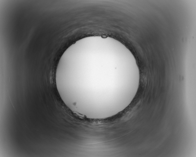 X0000088041490200706081558