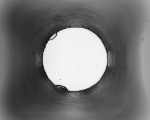 X0000088041491200706081559