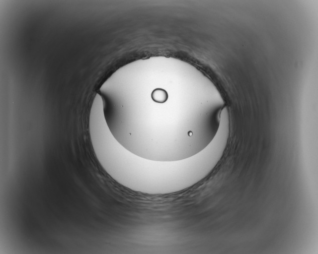 X0000088041492200706081559