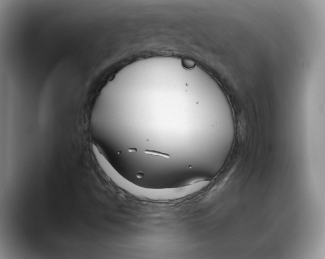 X0000088041494200706081559