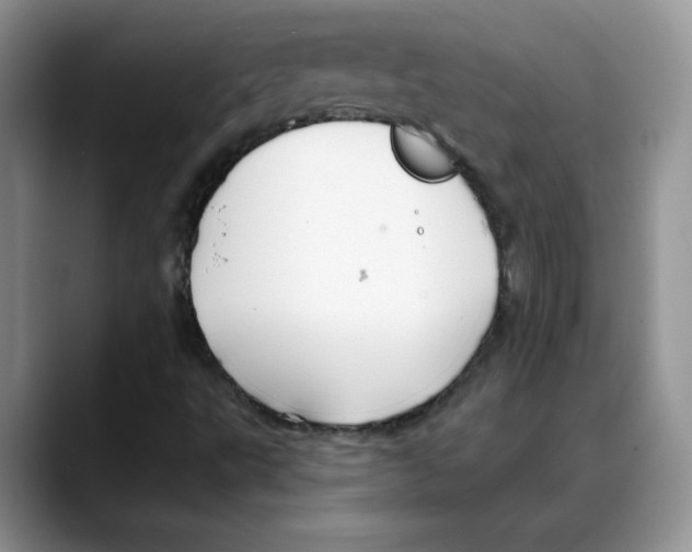 X0000088041495200706081559