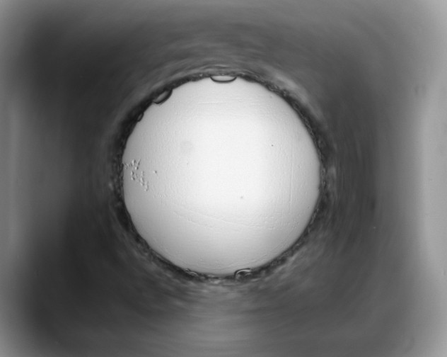 X0000088041496200706081559