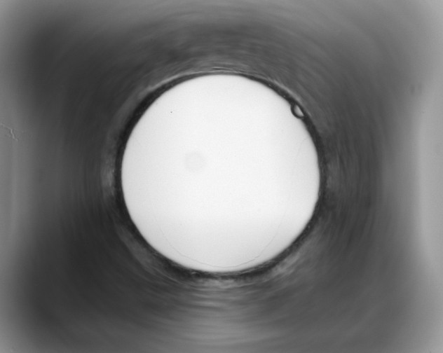 X0000088041499200706081559