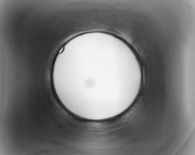 X0000088041500200706081559