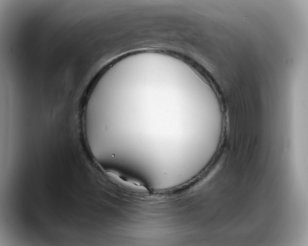 X0000088041501200706081559