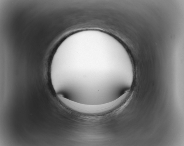 X0000088041502200706081559