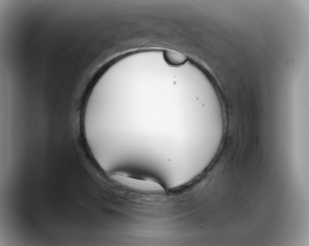 X0000088041503200706081559