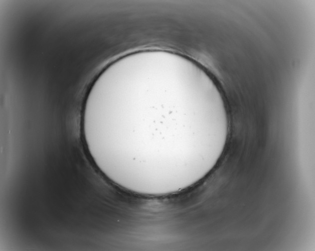 X0000088041504200706081559