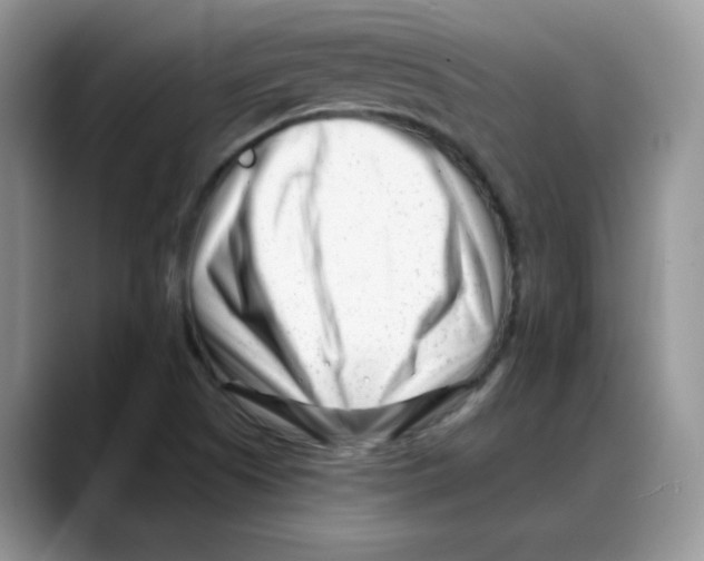 X0000088041505200706081559