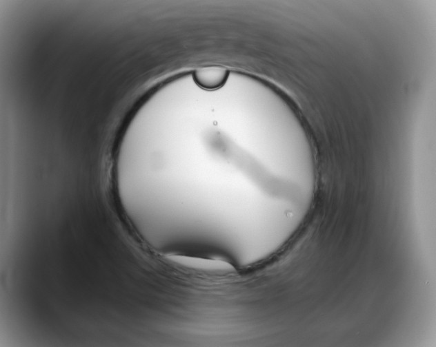 X0000088041507200706081559