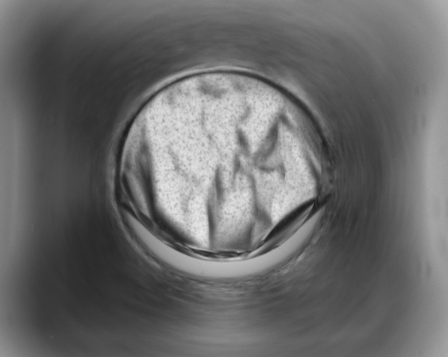 X0000088041508200706081559