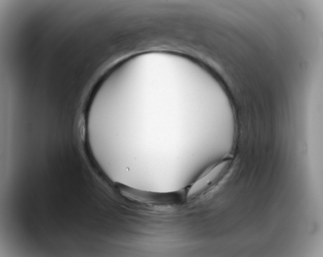 X0000088041509200706081559