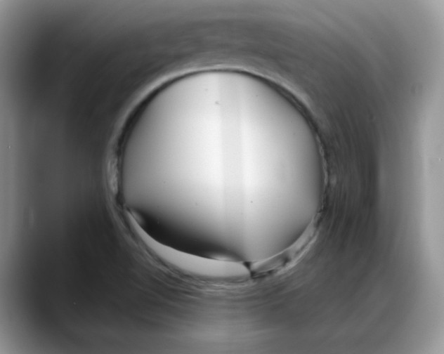 X0000088041510200706081559