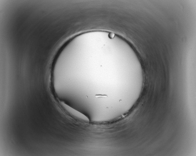 X0000088041511200706081559