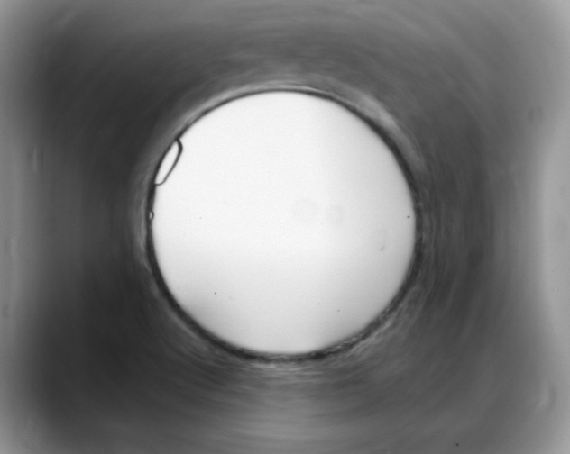 X0000088041512200706081559