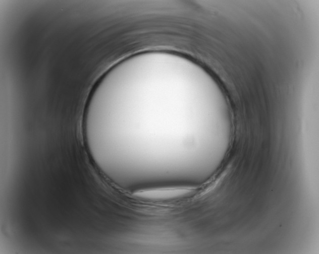 X0000088041513200706081559