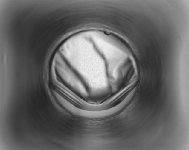 X0000088041515200706081559