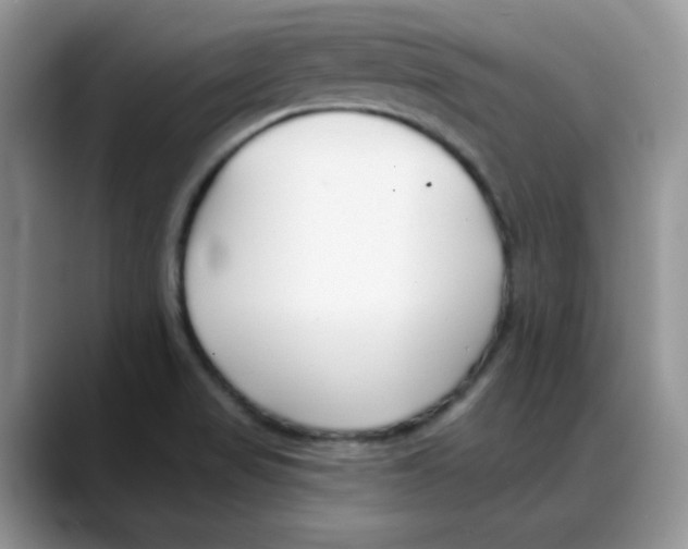 X0000088041517200706081559