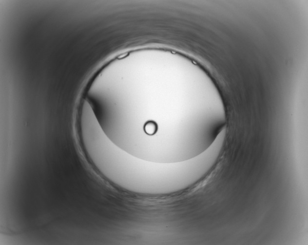 X0000088041518200706081559