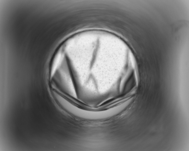 X0000088041519200706081559