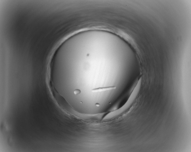 X0000088041520200706081559