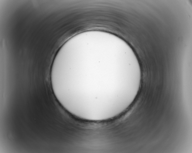 X0000088041521200706081559