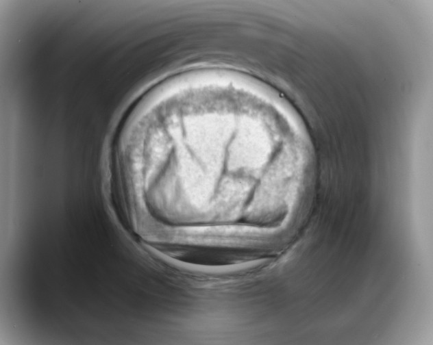 X0000088041522200706081559