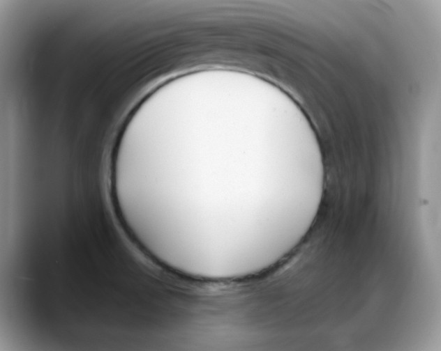 X0000088041523200706081559