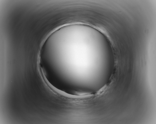 X0000088041524200706081559