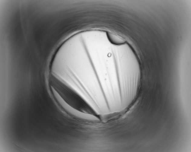 X0000088041525200706081559