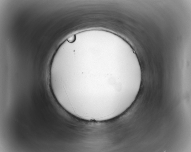 X0000088041526200706081559