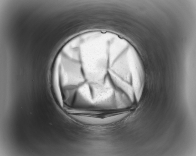 X0000088041527200706081559