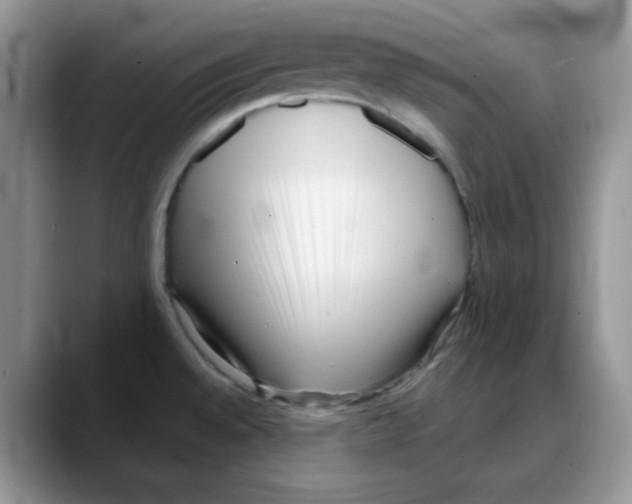 X0000088041528200706081559