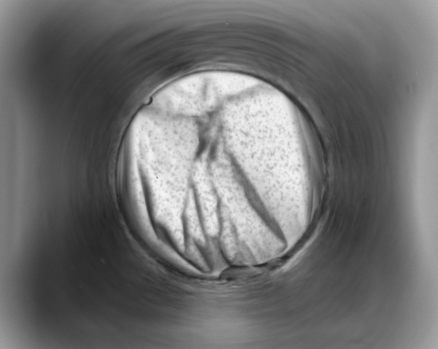 X0000088041529200706081559