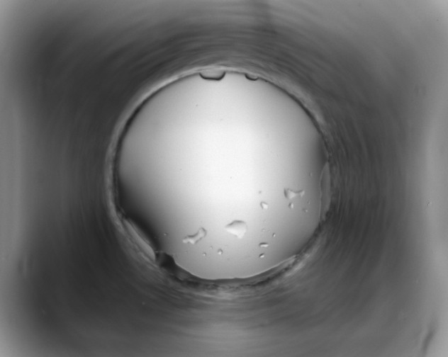 X0000088041530200706081559