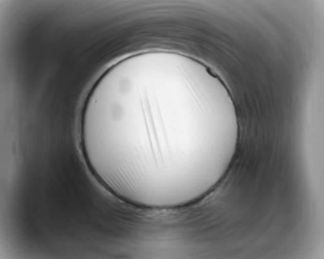 X0000088041531200706081559