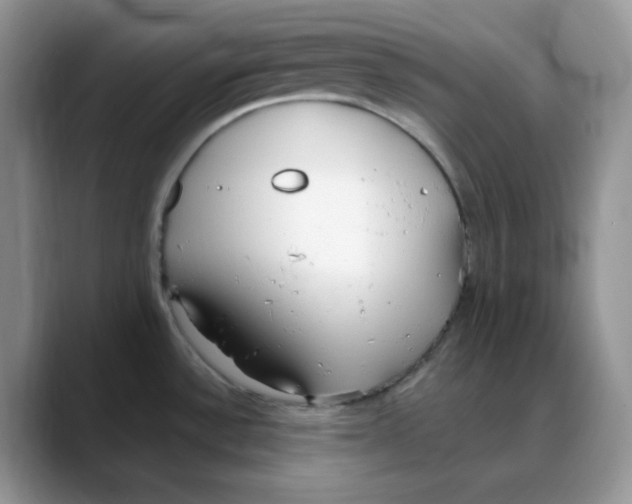 X0000088041532200706081559