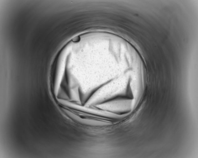 X0000088041533200706081559