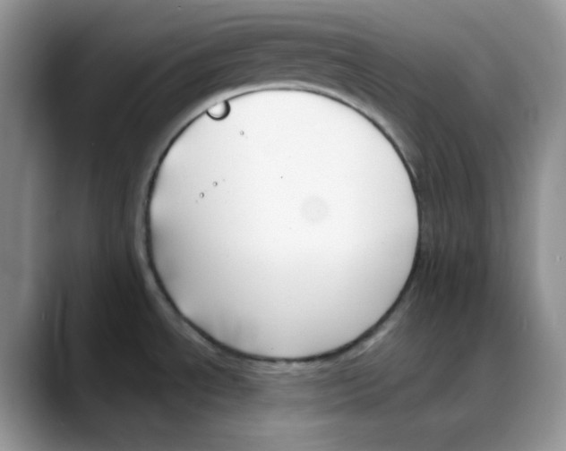 X0000088041534200706081559